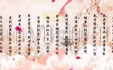 2023年农村小学教师心得6篇