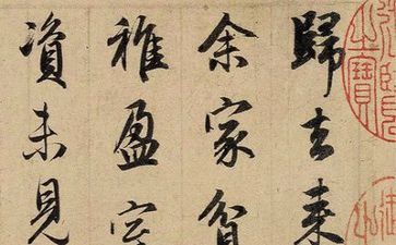 中大队长竞选演讲稿推荐7篇