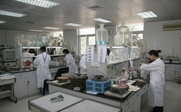 个人员工工作总结模板8篇