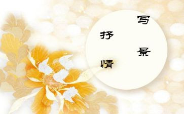 《我的房间》作文精选5篇