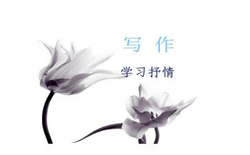 一次小实验作文优秀6篇