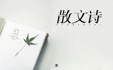 个人述职范文5篇
