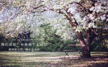 与端午节的作文300字最新5篇