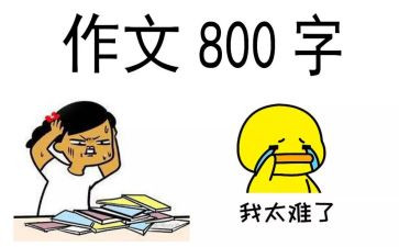 我熟悉的她作文600字精选5篇