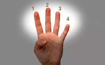 世界粮食日主题活动总结6篇