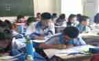 蒙式数学培训心得推荐7篇