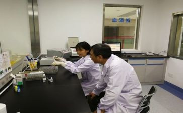 个人工作总结小学一年级5篇