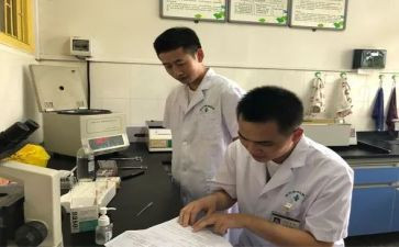 2023人事工作总结优质8篇