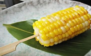 与书的相遇作文7篇
