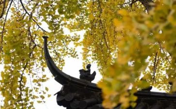 2022第一学期教学计划7篇