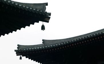 中华传统春节的作文最新8篇