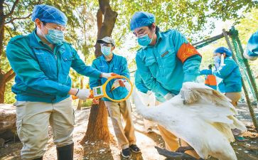 2023年酒水销售个人工作总结5篇
