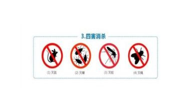 学校灭四害工作计划6篇