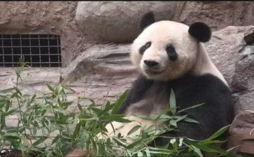 不自信演讲稿优质6篇