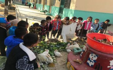 2023年小学工作计划优质5篇