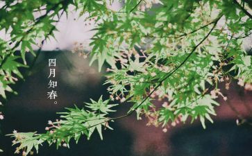 四月幼儿教师工作总结5篇