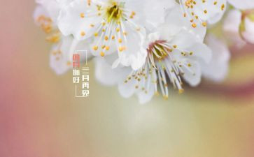 幼儿园个人四月总结5篇