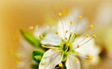 2022四月工作计划7篇