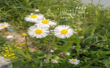 四月幼儿园工作总结推荐7篇