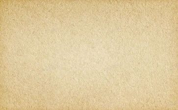 2024年中考作文素材范文8篇