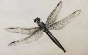 素描课心得体会5篇