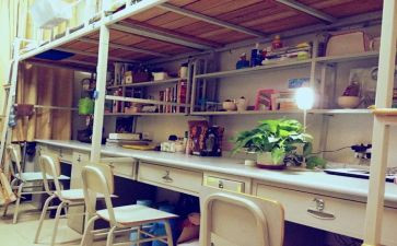 宿舍情演讲稿5篇