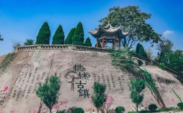 三有教师心得体会模板6篇