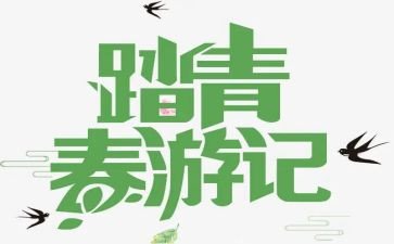 个人2023工作总结5篇