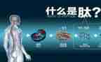 下雪作文800字6篇