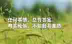 公司出纳个人工作总结8篇