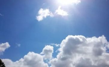 天气预报大班教案优秀7篇