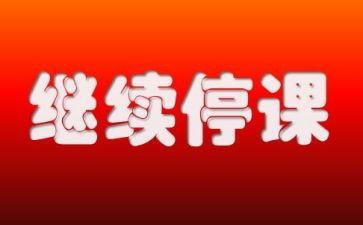 2023大学生就业情况的调查报告8篇