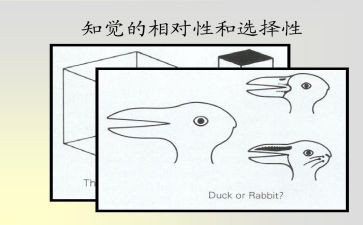 个人上半年工作总结8篇