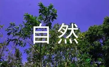 一年级下数学学期教学计划模板7篇