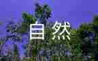 一年级下数学学期教学计划模板7篇