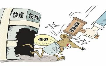 偷来的光读后感100字8篇