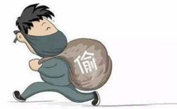 小偷家族读后感5篇