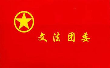 医院团委工作总结7篇