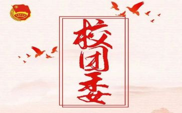 校宣传部团委工作总结6篇