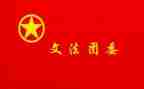 t团委工作总结7篇