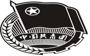 竞选团组织部部长演讲稿5篇