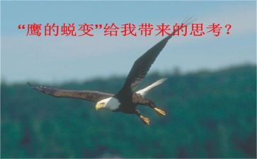 一年级安全教育工作计划6篇