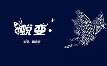 618建材活动总结5篇