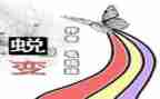个人化工厂工作总结6篇