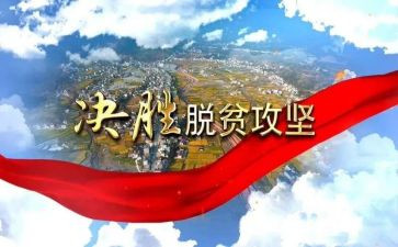 2-5的乘法口诀教案5篇