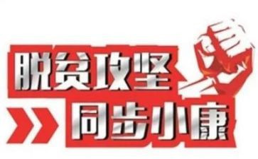 2023年七年级体育教学工作计划6篇