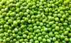 一年级小豌豆读后感7篇