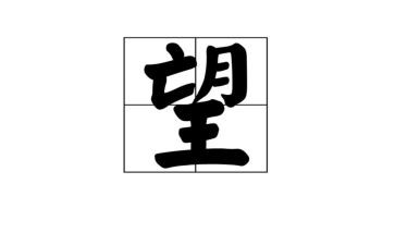 6年级愿望作文5篇