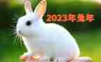 2023年个人研修计划优质5篇