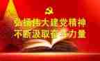 党员个人总结及自我评价6篇